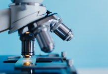 maturalni_kurs maturalny biologia (4).jpg