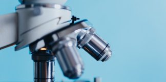 maturalni_kurs maturalny biologia (4).jpg