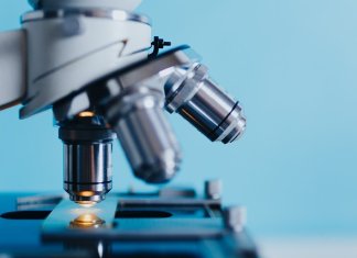 maturalni_kurs maturalny biologia (4).jpg