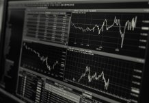 sopocka_kierunek finanse i rachunkowość (2).jpg