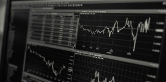 sopocka_kierunek finanse i rachunkowość (2).jpg