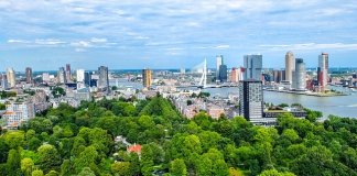 Werka - studia projektowanie terenów zieleni (3).jpg