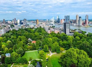 Studia projektowanie terenów zieleni – perspektywy międzynarodowe Werka - studia projektowanie terenów zieleni (3).jpg