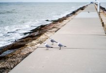 michalina-apartamenty-bryza.pl - apartament świnoujście.jpg