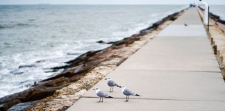 Najlepsze apartamenty w Świnoujściu z widokiem na morze – ranking i rekomendacje michalina-apartamenty-bryza.pl - apartament świnoujście.jpg