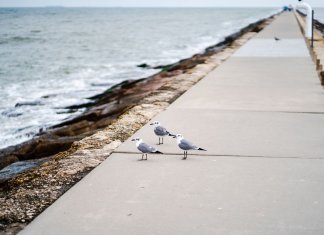 michalina-apartamenty-bryza.pl - apartament świnoujście.jpg