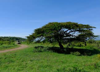 deluxetravelclub_luksusowe wakacje w Kenii-9_6.jpg