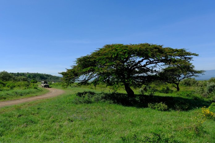 deluxetravelclub_luksusowe wakacje w Kenii-9_6.jpg